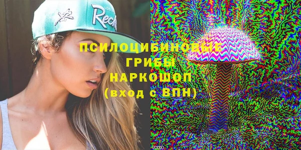гидра Ладушкин