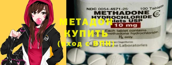 прущие грибы Лабытнанги