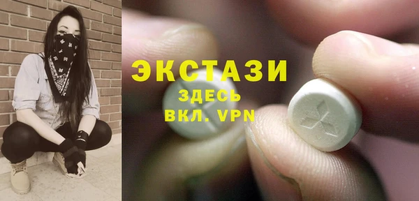 прущие грибы Лабытнанги