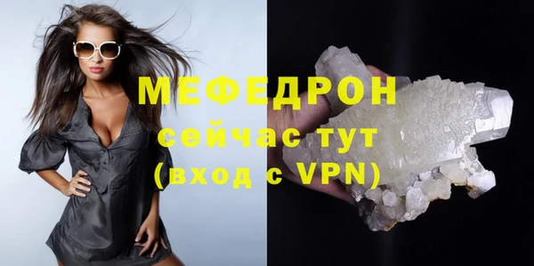 прущие грибы Лабытнанги