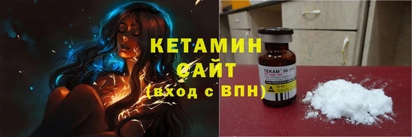 прущие грибы Лабытнанги