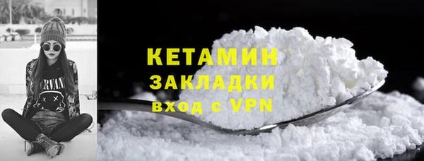 прущие грибы Лабытнанги