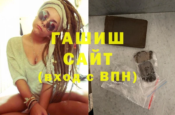 прущие грибы Лабытнанги
