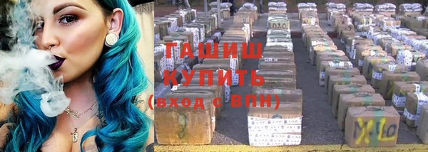 прущие грибы Лабытнанги