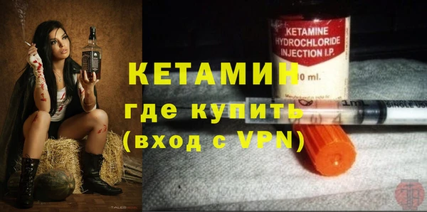 прущие грибы Лабытнанги
