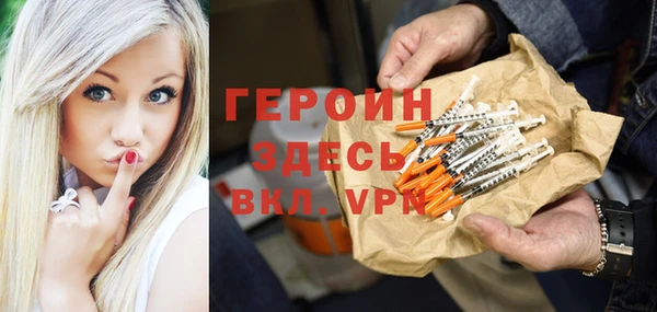 прущие грибы Лабытнанги