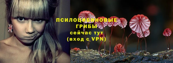 амф Ряжск